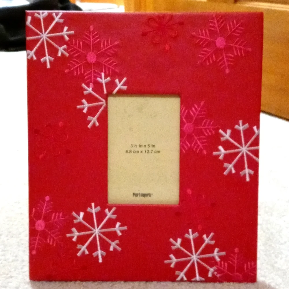 Pier 1 Imports Christmas Frame Snowflakes